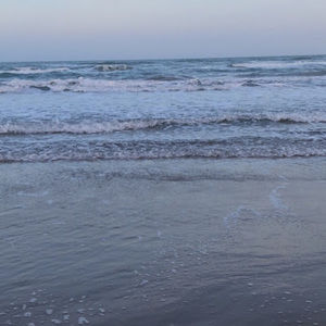 Meet your Posher, Brooklyn